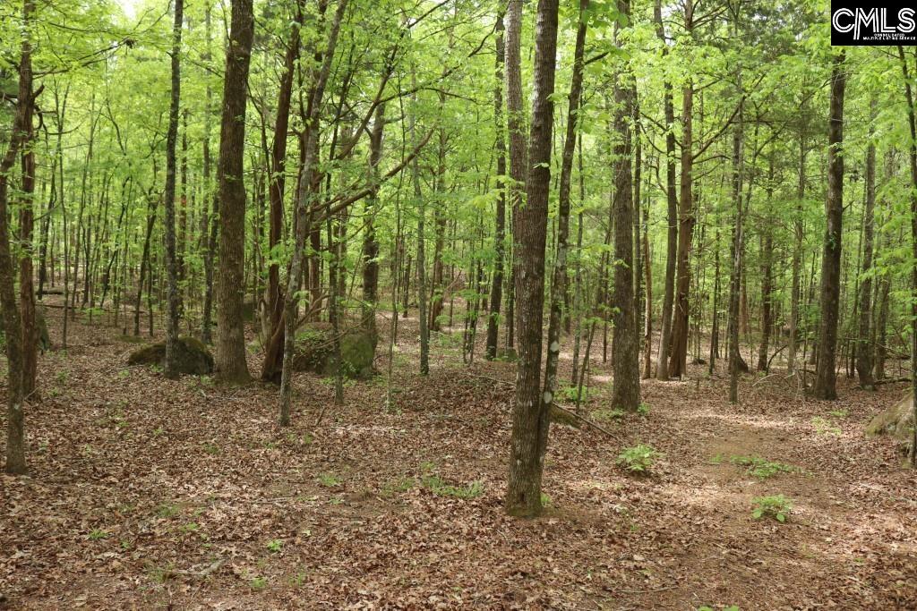 Beulah Road Leesville, SC 29070 - Photo 16 of 19