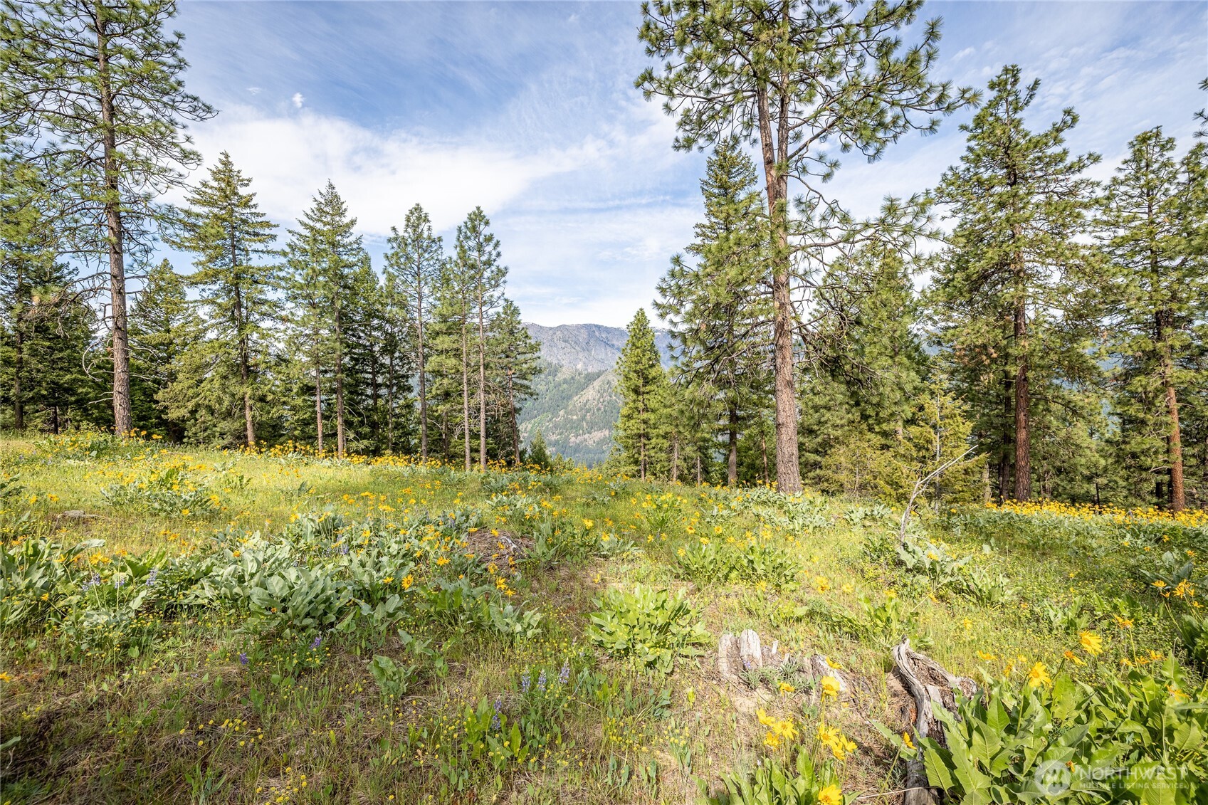 329 First Grade Road Leavenworth, WA 98826 - Photo 20 of 36