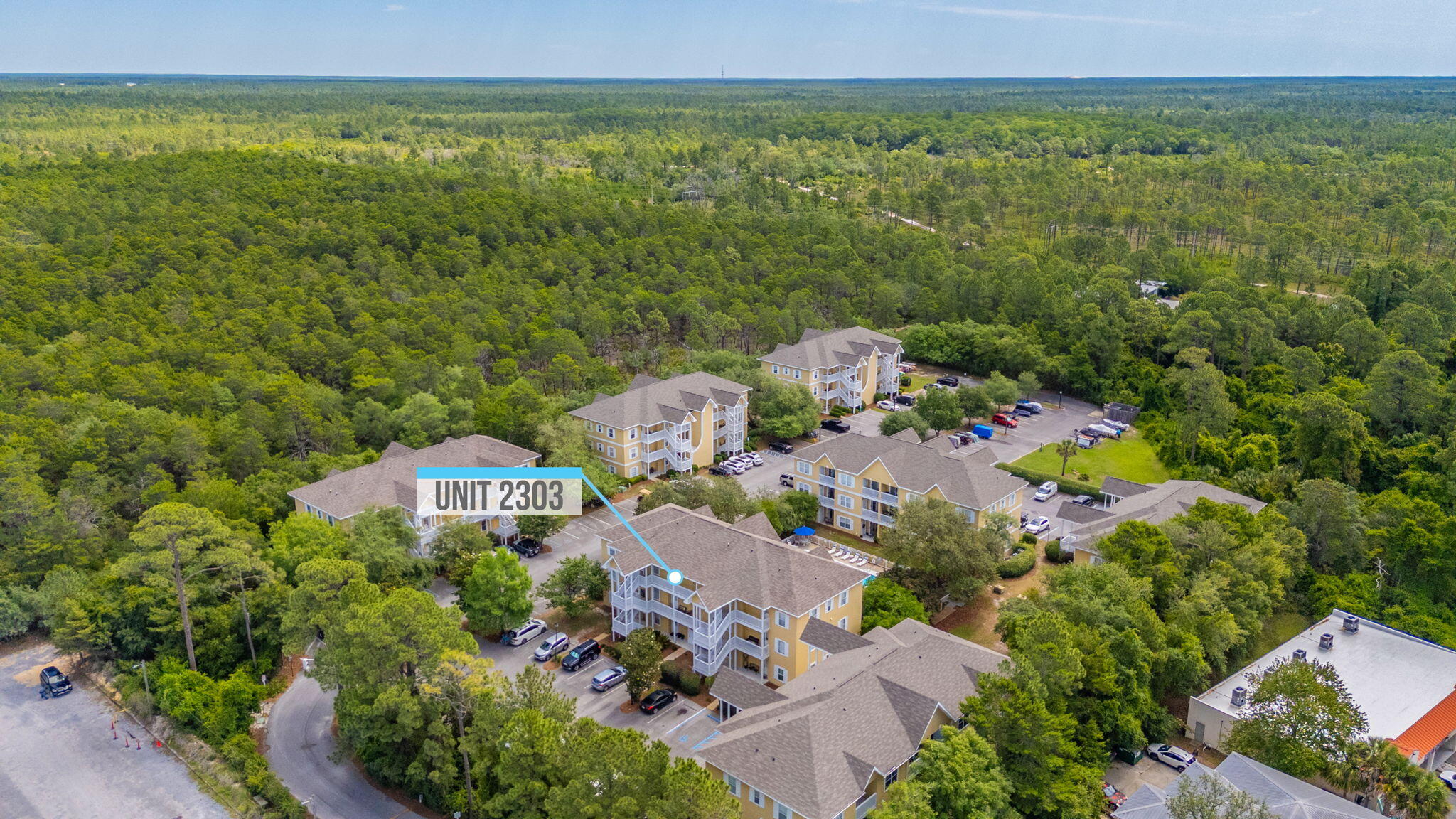 34 Heron's Watch Way, Unit 2303 Santa Rosa Beach, FL 32459 - Photo 37 of 45 36-web-or-mls-34-herons-watch-way