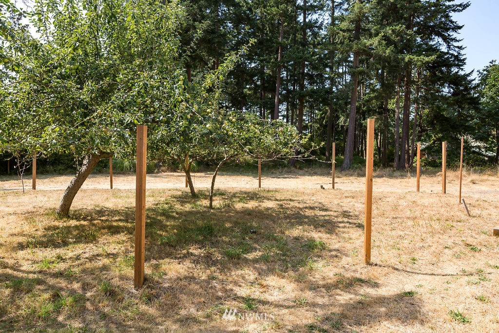 259 Fort Casey Road Coupeville, WA 98239 - Photo 4 of 25 Gallery Image 4