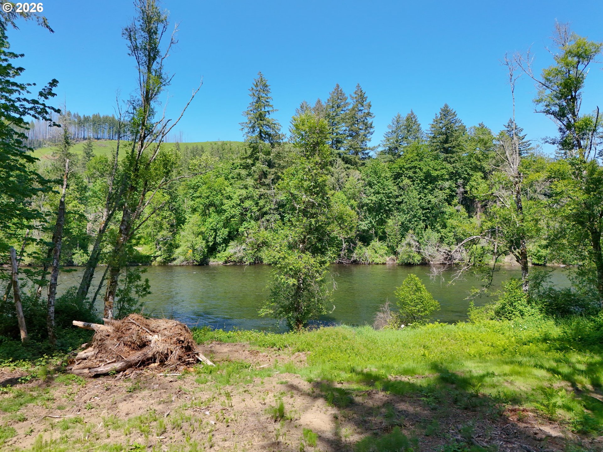 Goodpasture Road, Unit 1809 Vida, OR 97488 - Photo 1 of 24