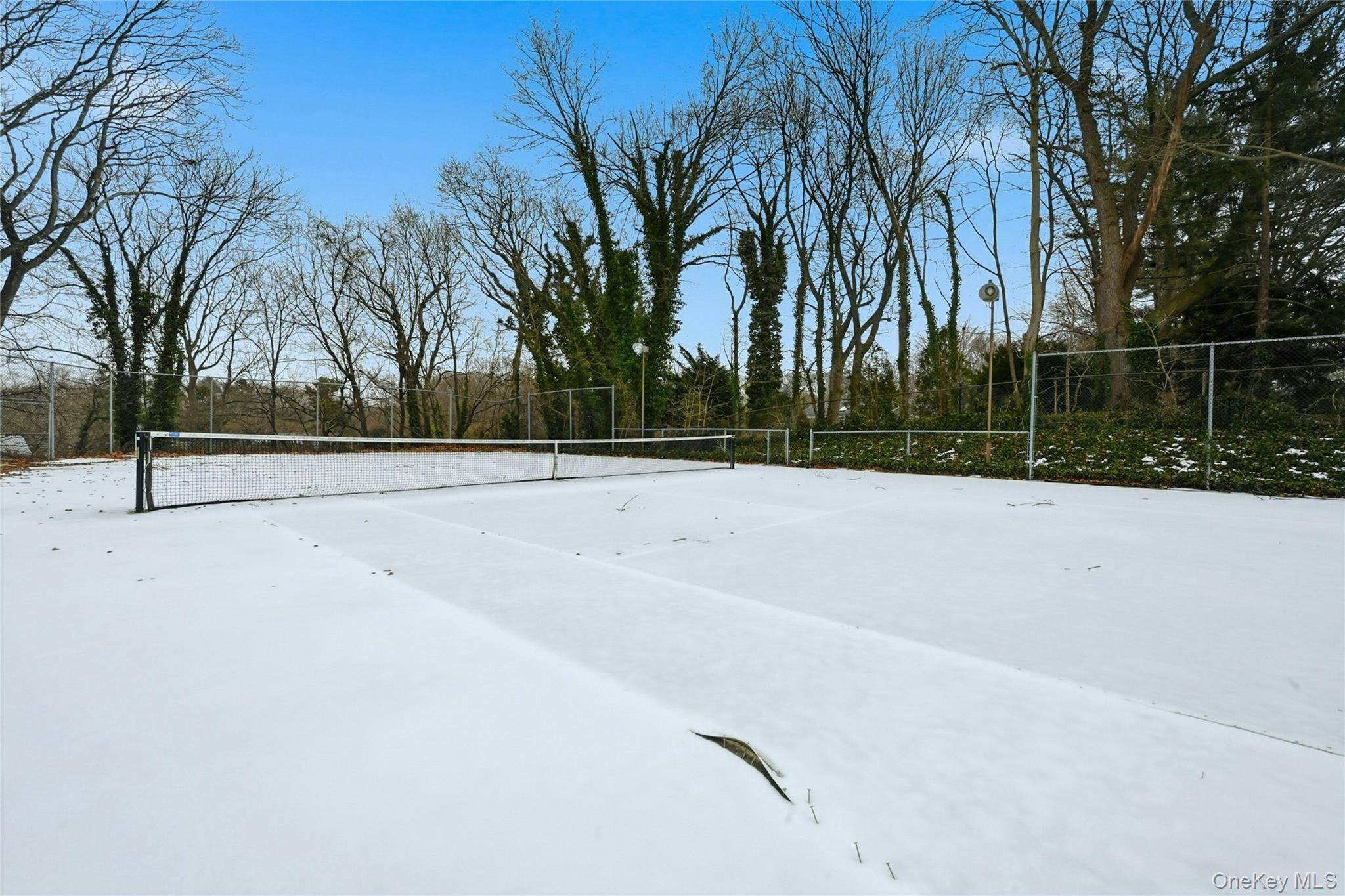 54 Cove Road Huntington, NY 11743 - Photo 16 of 24 Tennis Courts