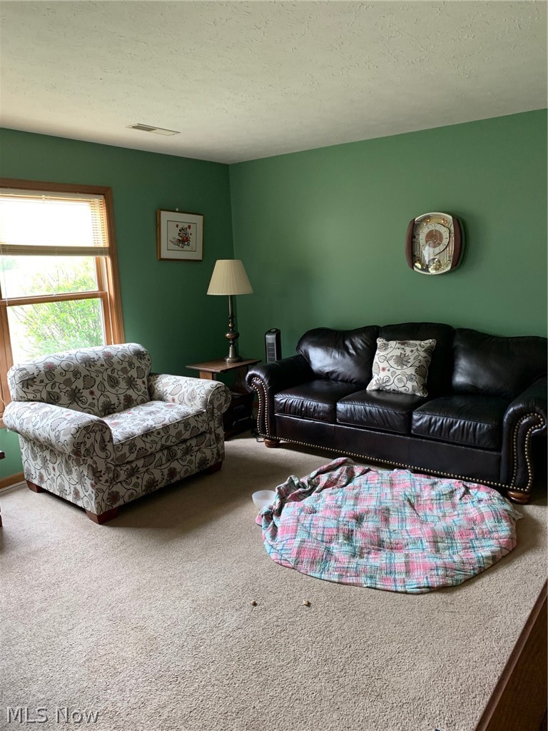 3 McElwee Court Rittman, OH 44270 - Photo 4 of 9 Gallery Image 4