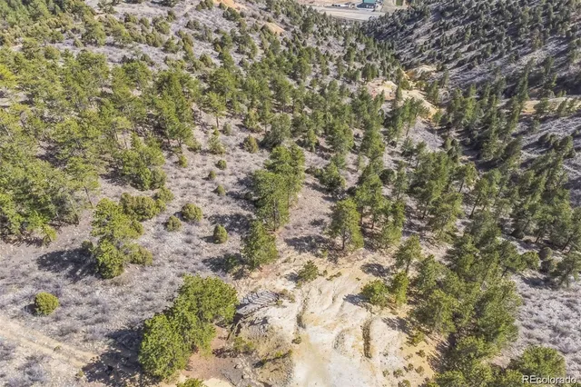 a close up of a plant