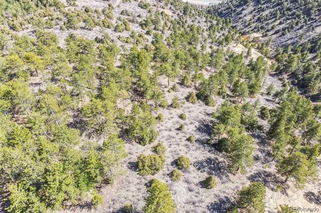 a view of a yard with plants and wooden bench