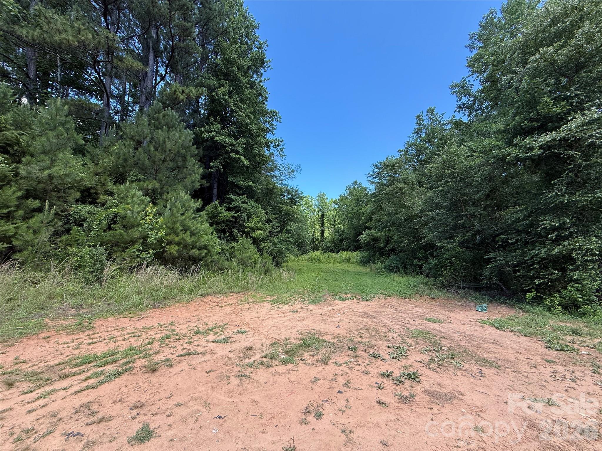 99999 Tryon Road Rutherfordton, NC 28139 - Photo 21 of 25