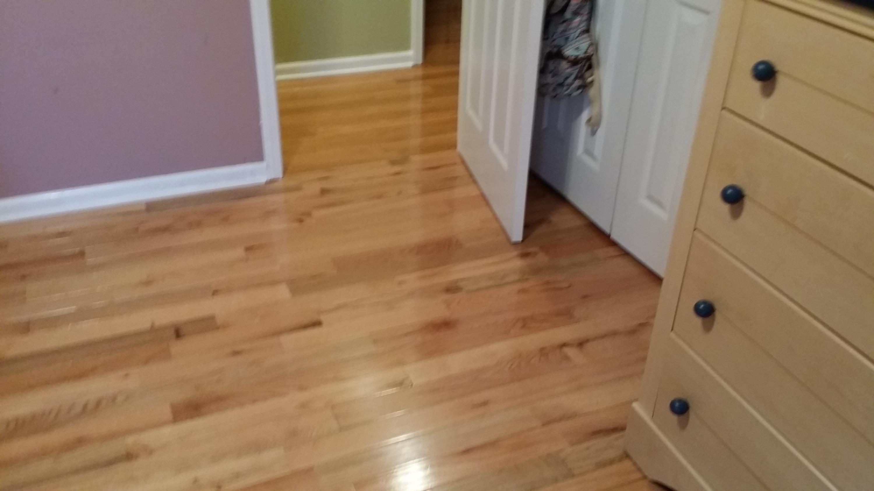 3029 Clover Hill Ridge Road Maryville, TN 37801 - Photo 20 of 22 Beautiful flooring