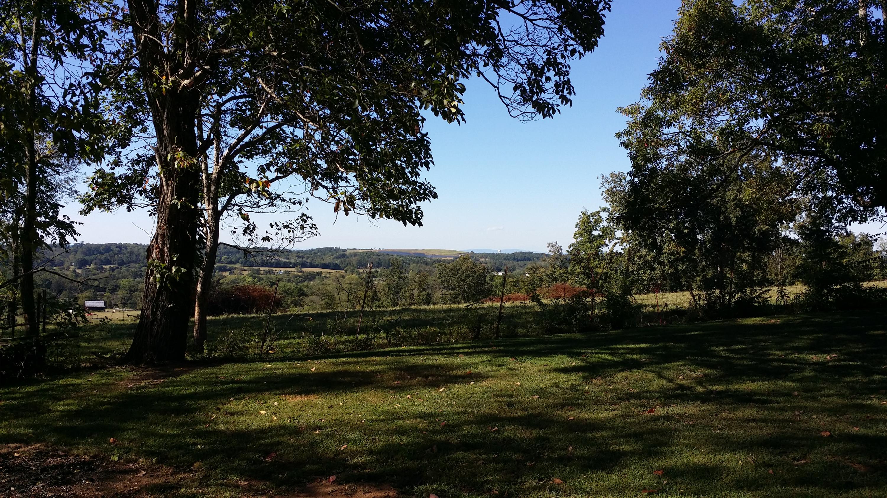 View from back yard