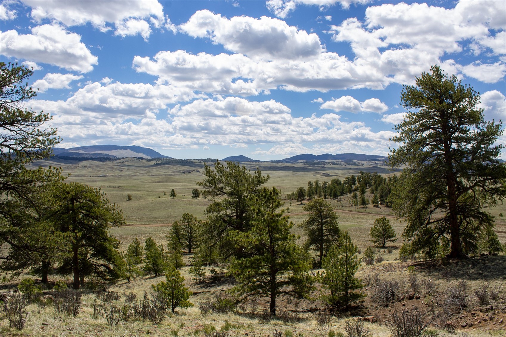 Tbd Tbd Black Beaver Rd/ Keechi Road Hartsel, CO 80449 - Photo 10 of 28 Gallery Image 10