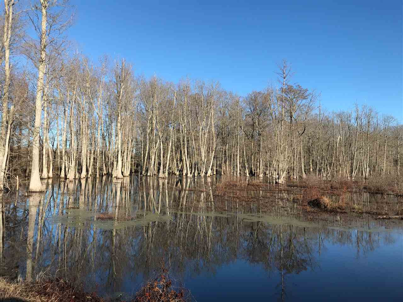 2166 West Marks Road Marks, MS 38646 - Photo 1 of 11 Photo 1