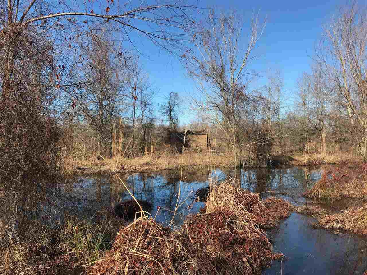 2166 West Marks Road Marks, MS 38646 - Photo 2 of 11 Photo 2
