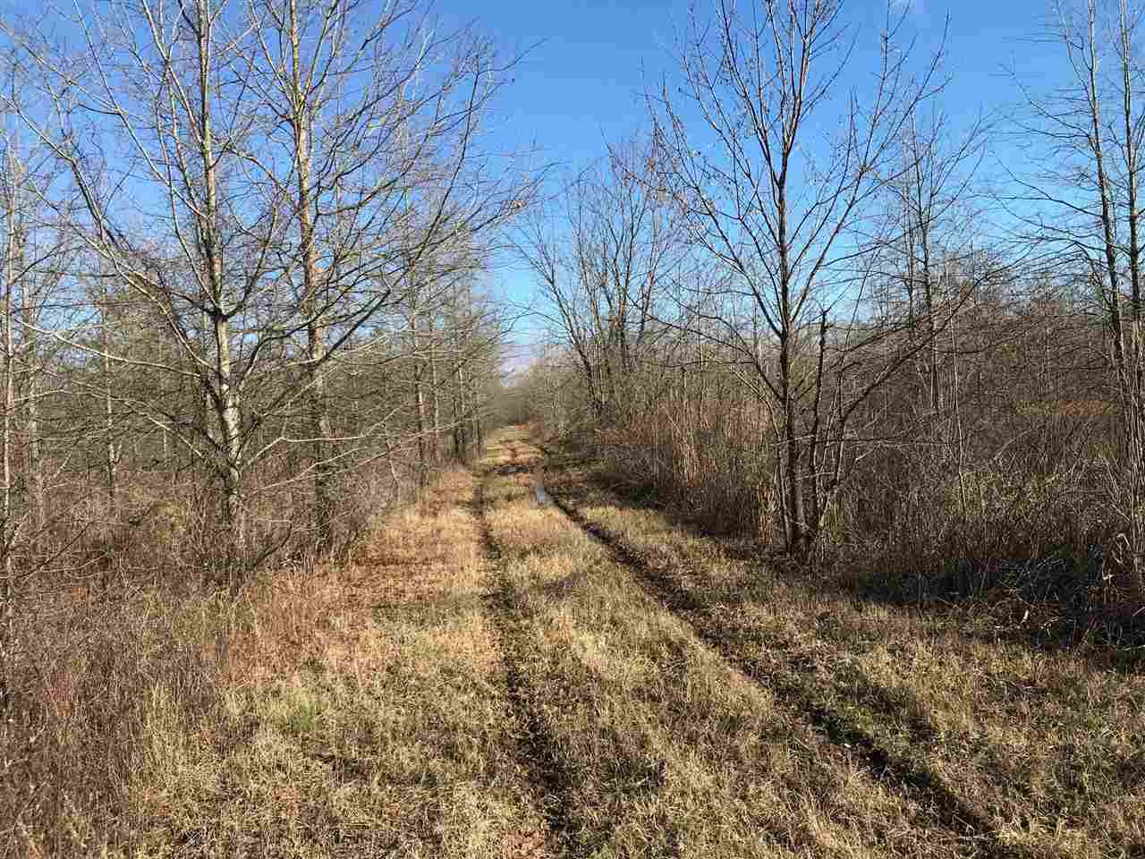 2166 West Marks Road Marks, MS 38646 - Photo 3 of 11 Photo 3