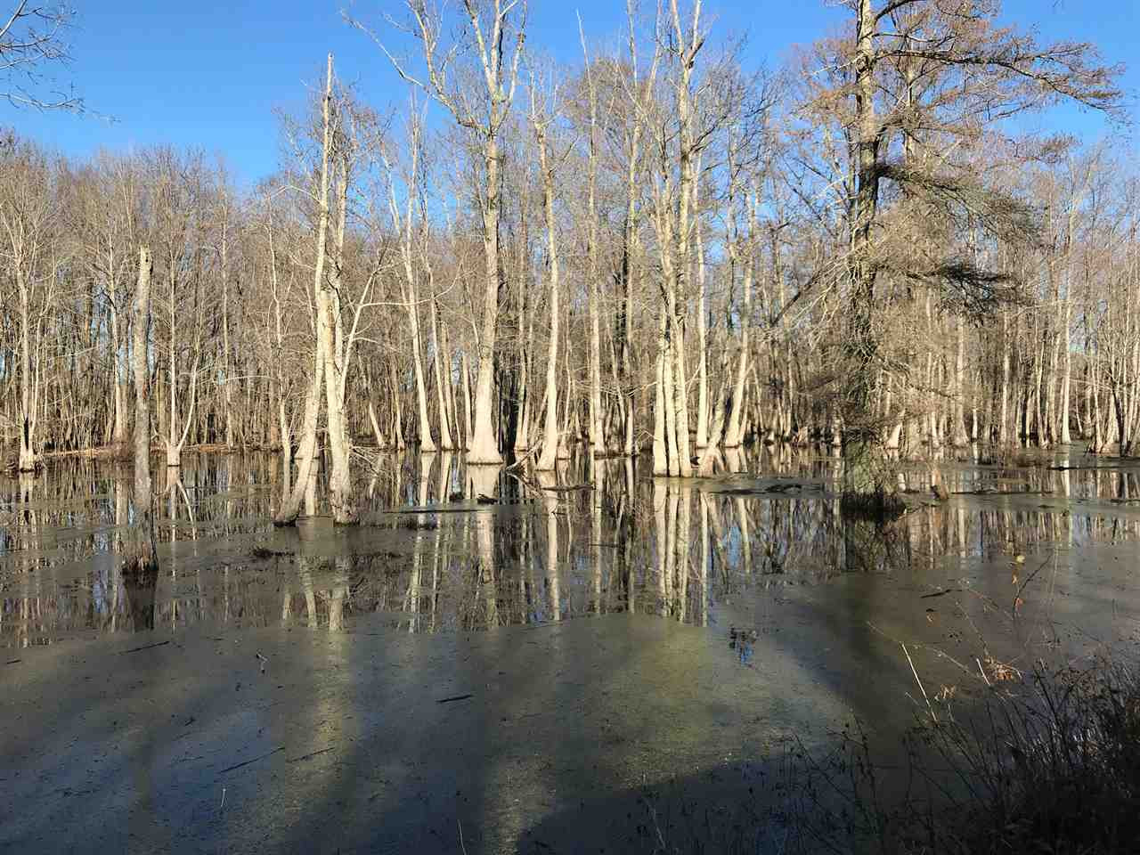 2166 West Marks Road Marks, MS 38646 - Photo 4 of 11 Photo 4