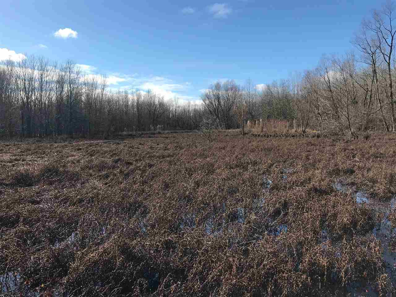 2166 West Marks Road Marks, MS 38646 - Photo 5 of 11 Photo 5