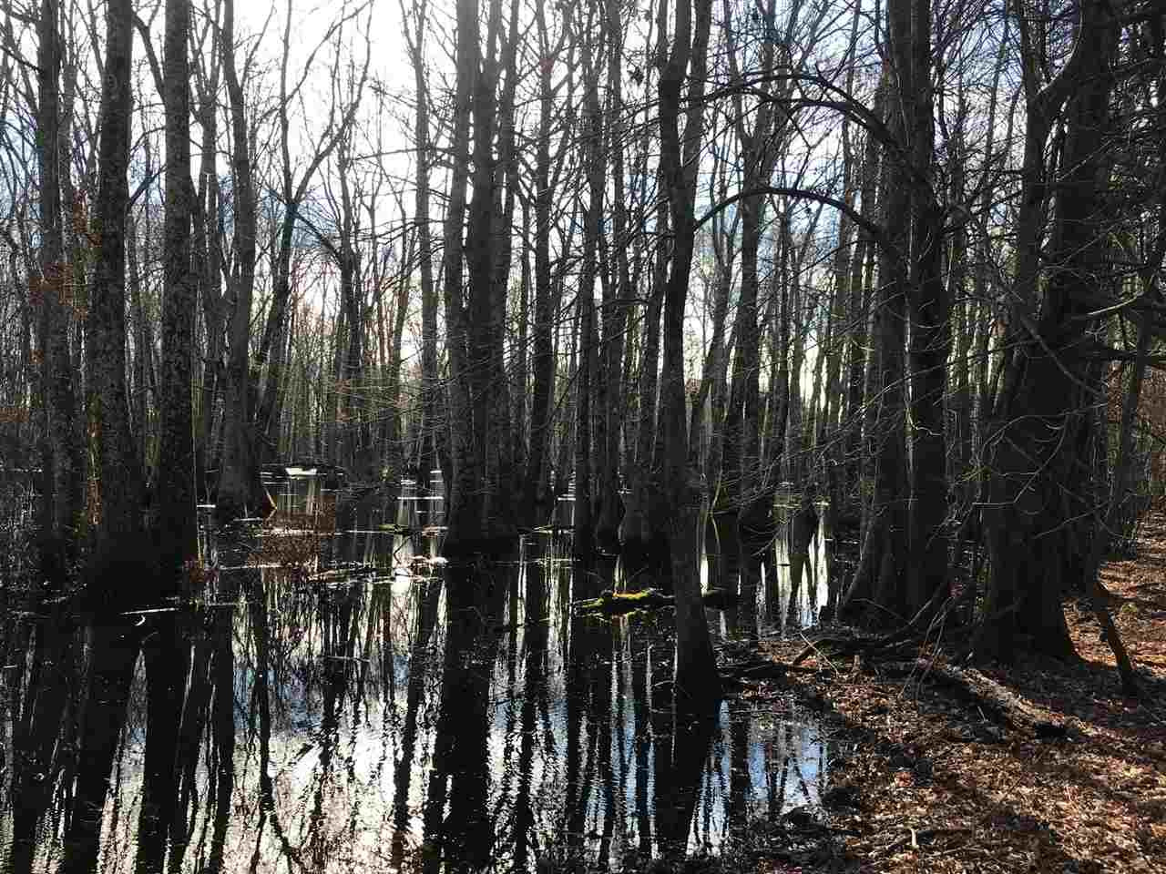 2166 West Marks Road Marks, MS 38646 - Photo 6 of 11 Photo 6