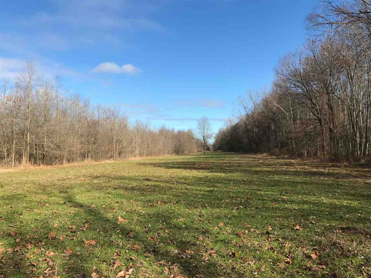 2166 West Marks Road Marks, MS 38646 - Photo 7 of 11 Photo 7