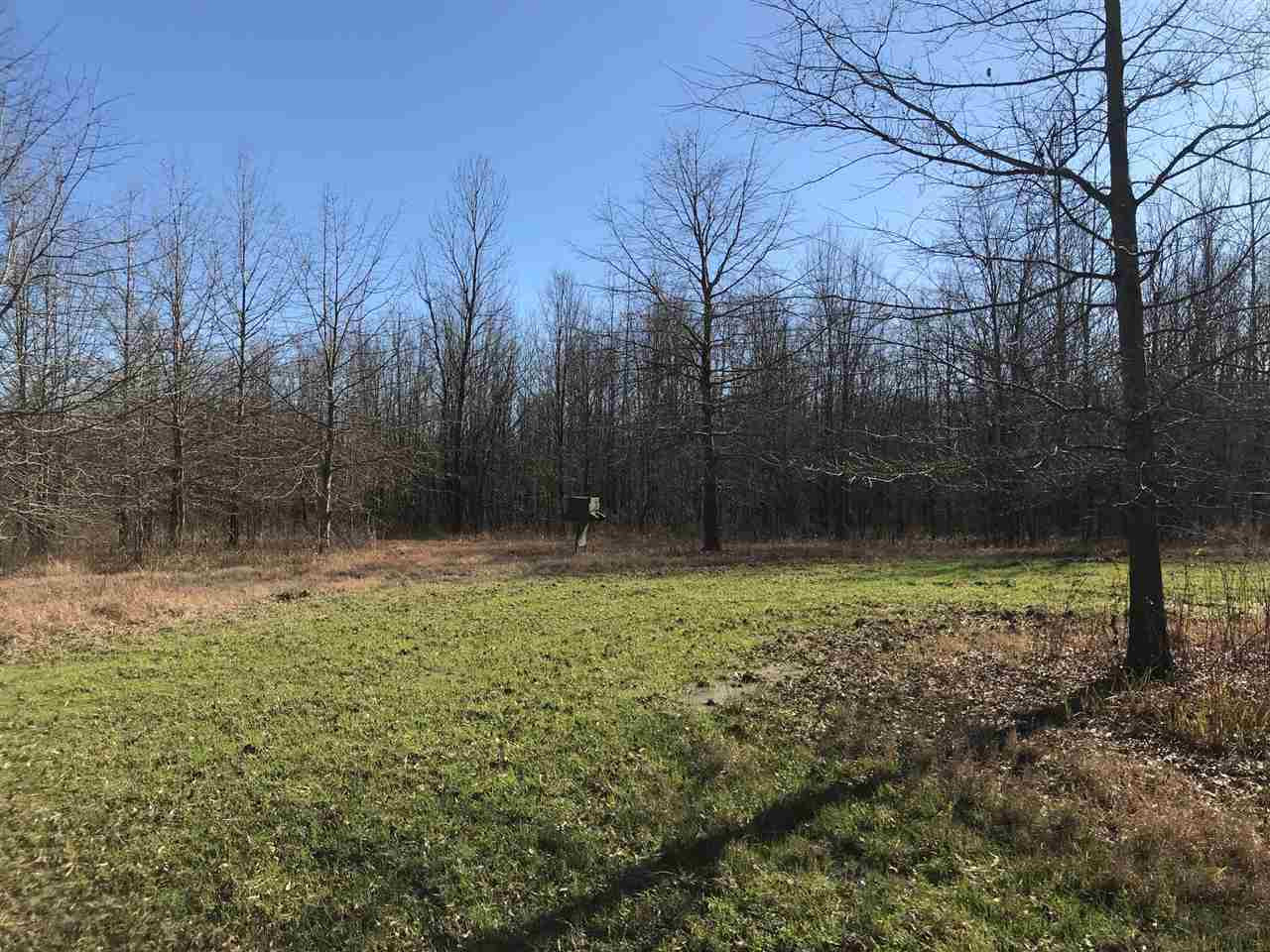 2166 West Marks Road Marks, MS 38646 - Photo 8 of 11 Photo 8