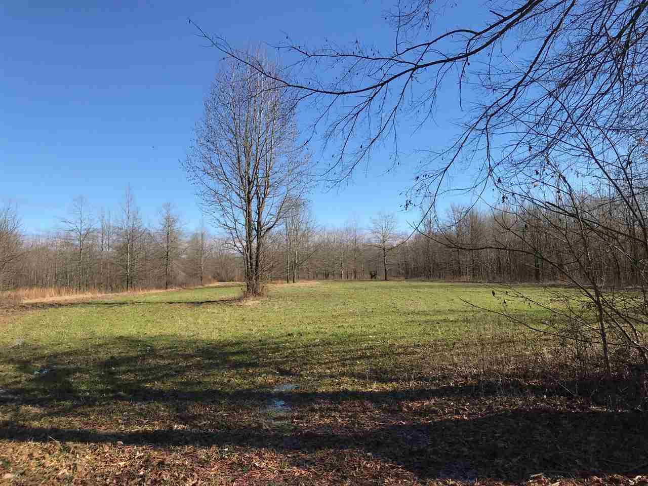 2166 West Marks Road Marks, MS 38646 - Photo 9 of 11 Photo 9