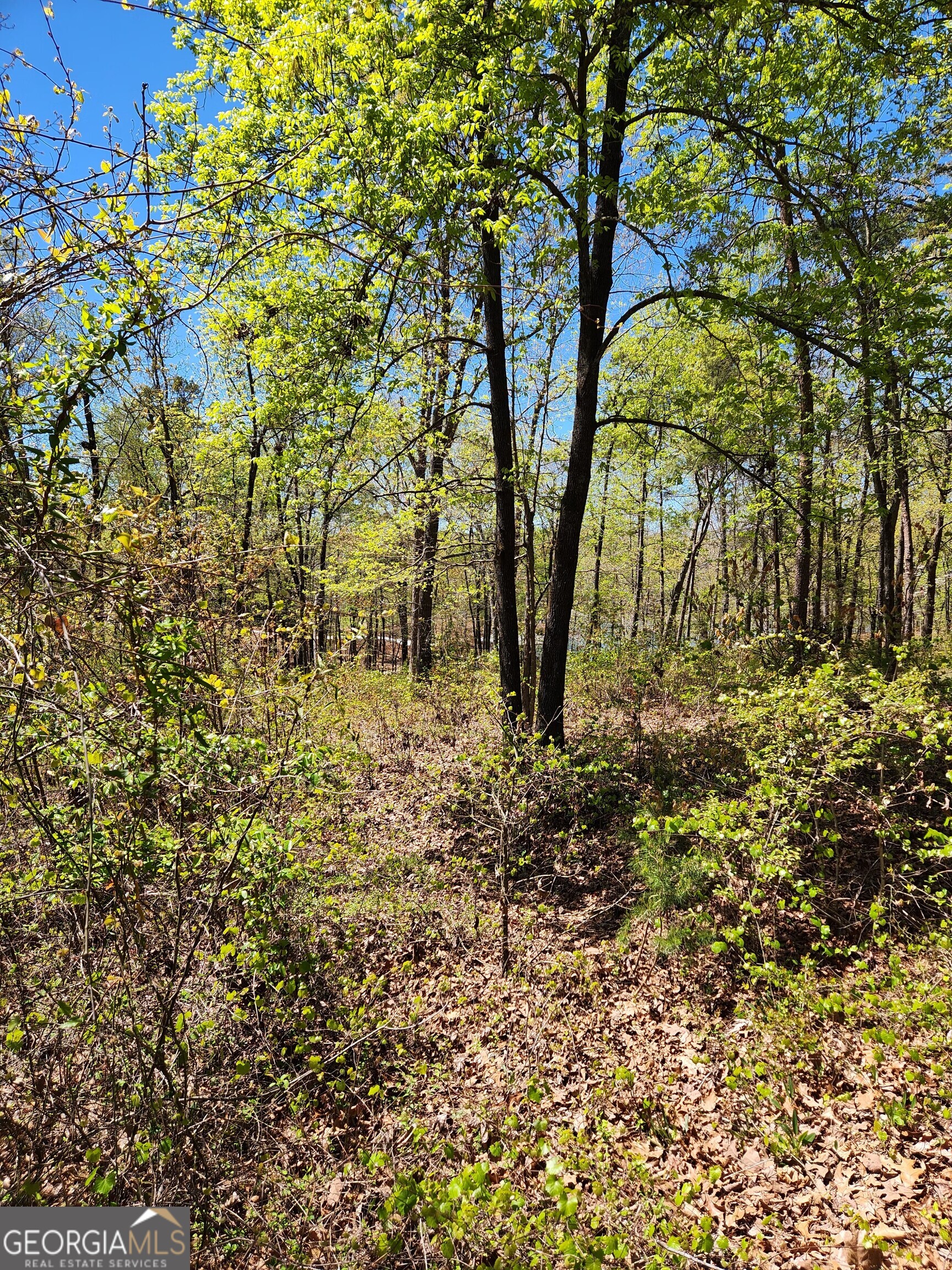 0 Crawfords Ferry Point Hartwell, GA 30643 - Photo 2 of 5 a view of backyard of a house