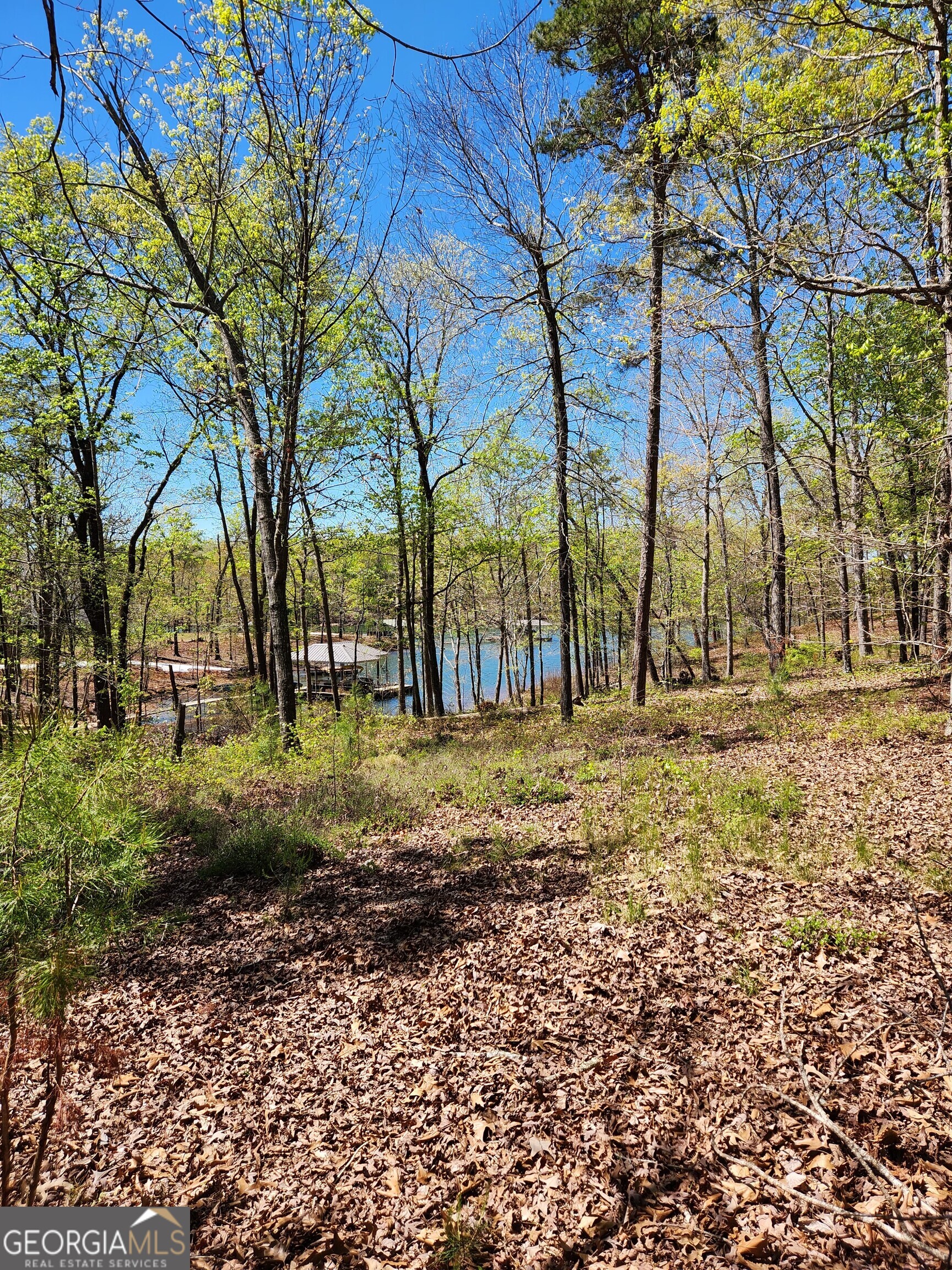 0 Crawfords Ferry Point Hartwell, GA 30643 - Photo 4 of 5 a view of backyard with trees