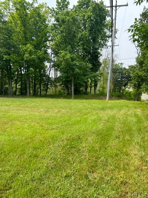 3008 Groth Road Murray, NY 14470 - Photo 11 of 34 Right side lot