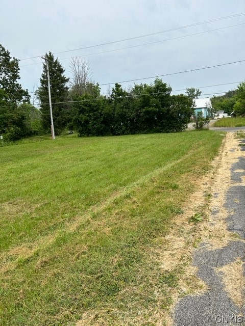 3008 Groth Road Murray, NY 14470 - Photo 12 of 34 Right side lot to road