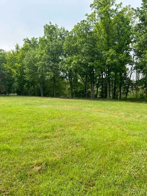 3008 Groth Road Murray, NY 14470 - Photo 13 of 34 Right lot