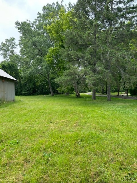 3008 Groth Road Murray, NY 14470 - Photo 14 of 34 Back right lot
