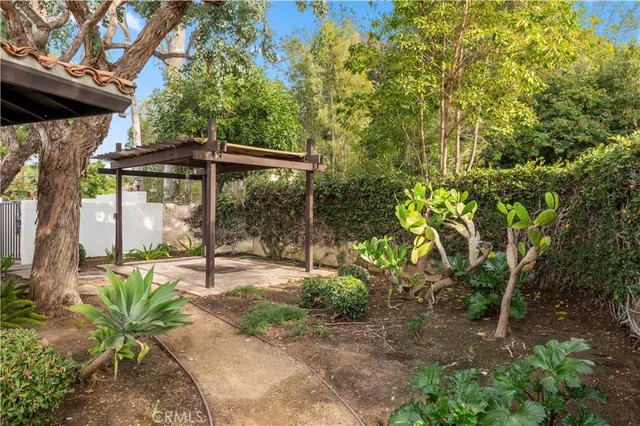 a view of a backyard with plants and large trees