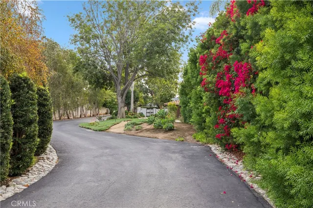 a view of a pathway with a tree
