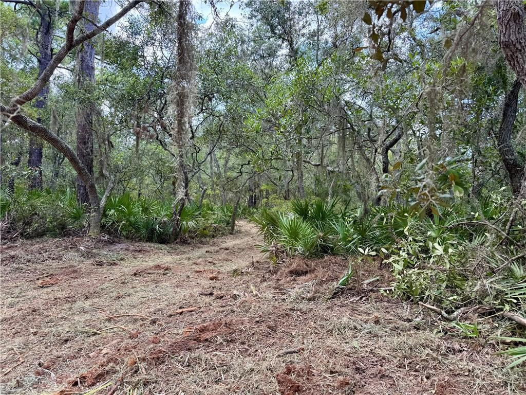 10.06-acres On Julienton Road Northeast Townsend, GA 31331 - Photo 5 of 12