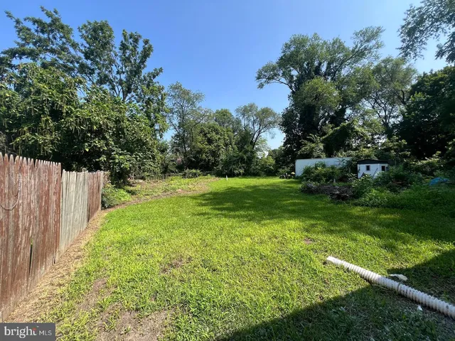 a view of green field with trees in the background
