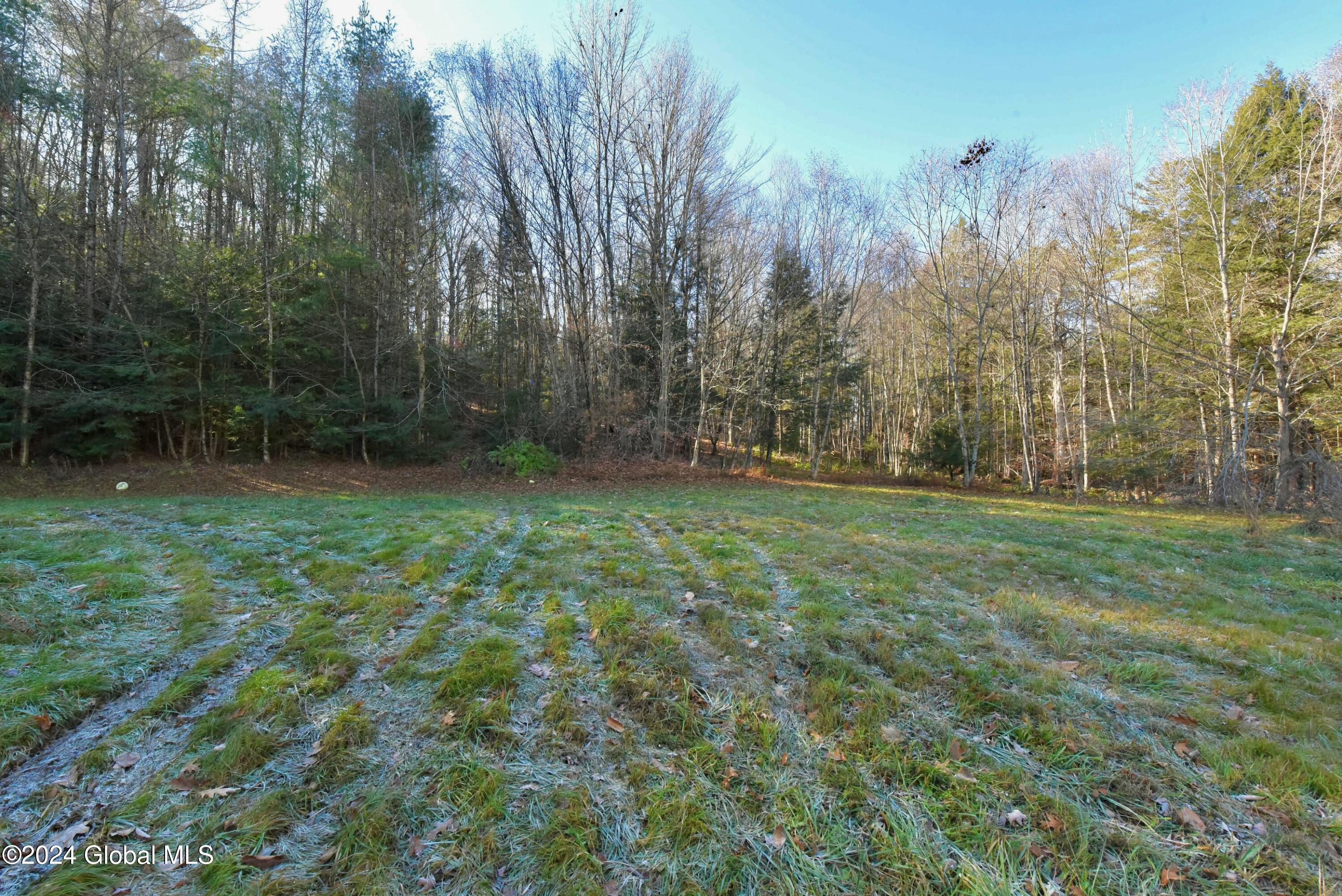 891 North Bush Road Johnstown, NY 12095 - Photo 42 of 47 tempImageS8179L