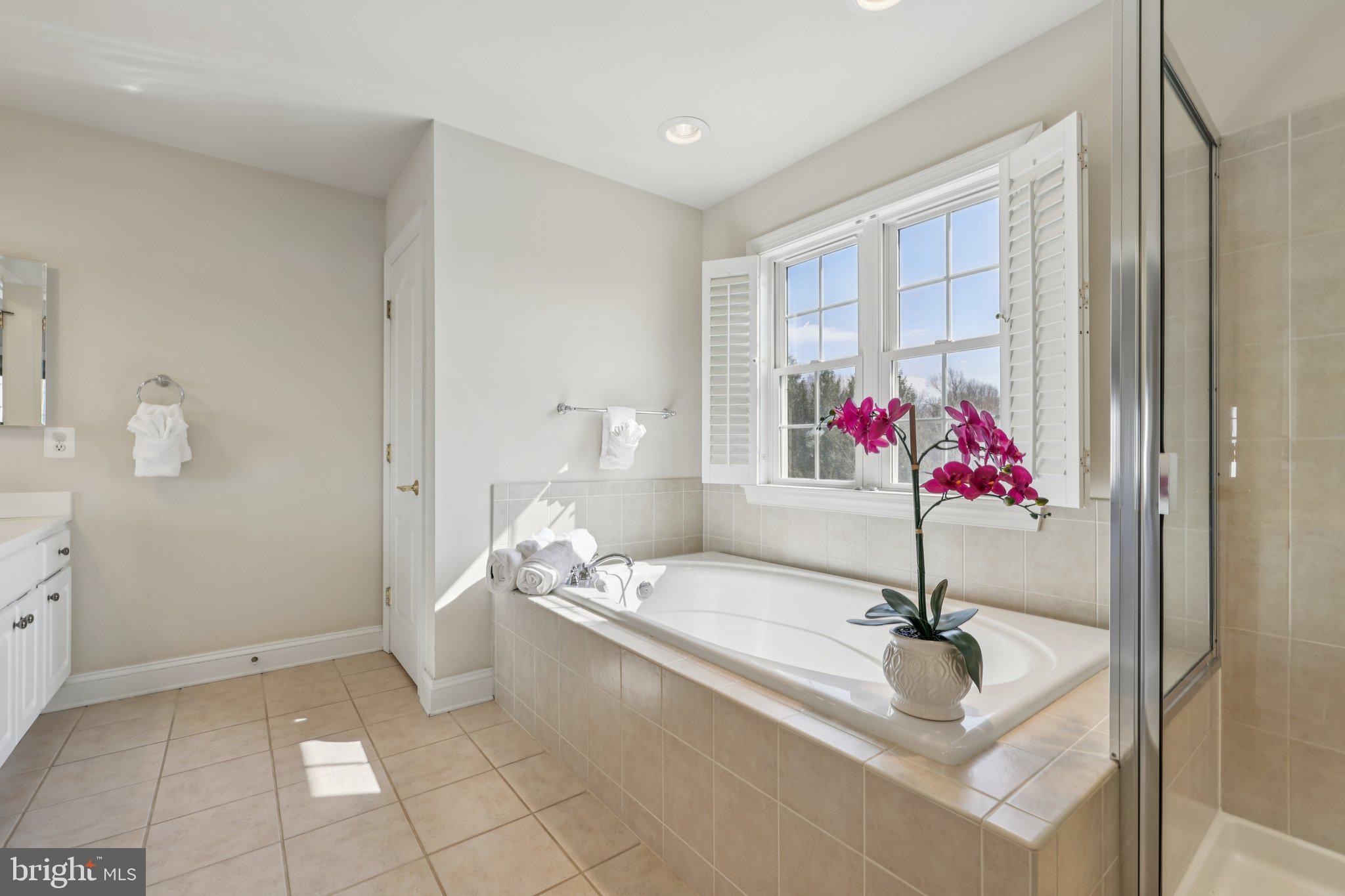 1702 Fieldbrook Lane Mount Airy, MD 21771 - Photo 29 of 72 Primary Bathroom