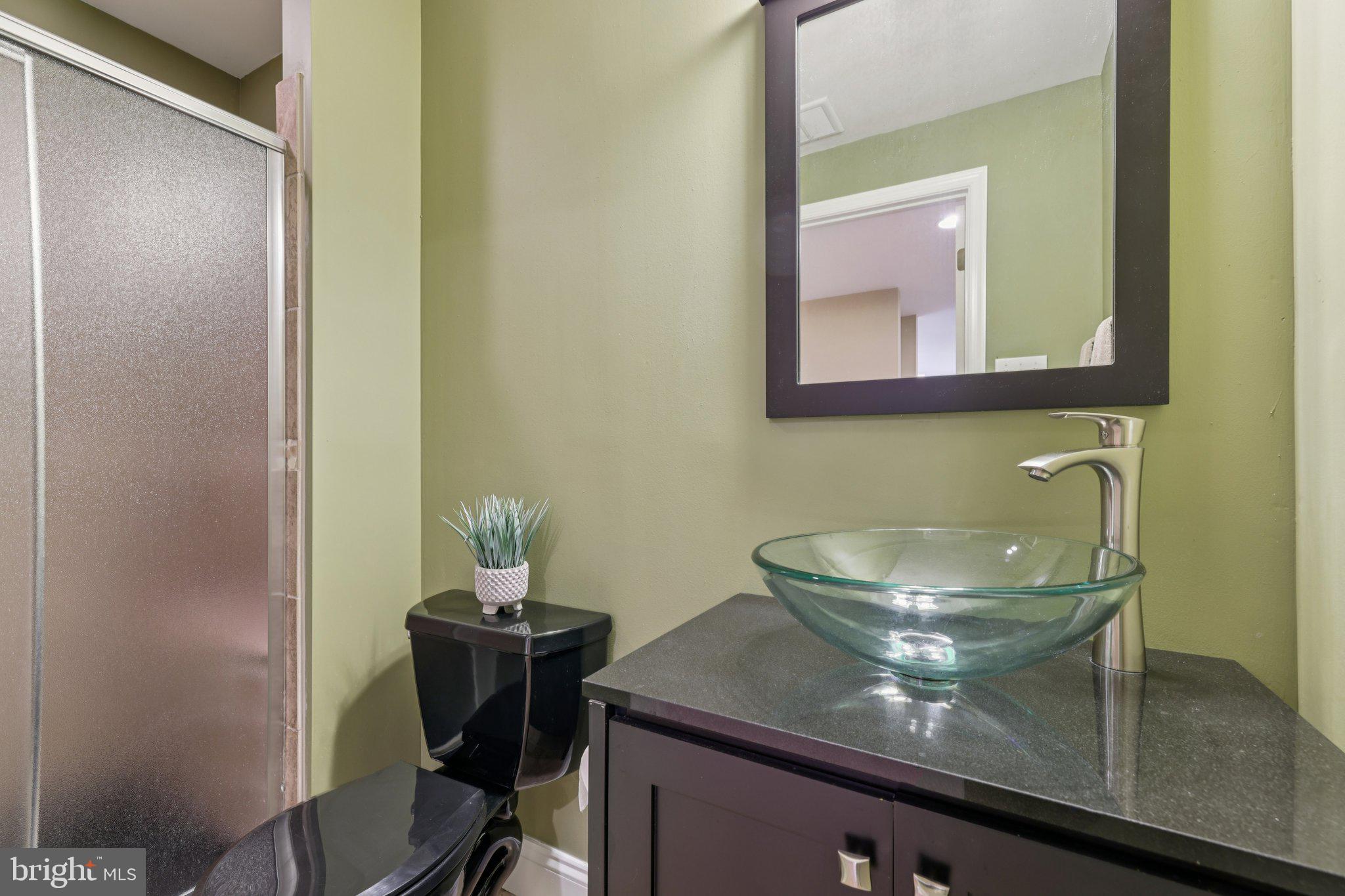 1702 Fieldbrook Lane Mount Airy, MD 21771 - Photo 48 of 72 Basement Bathroom