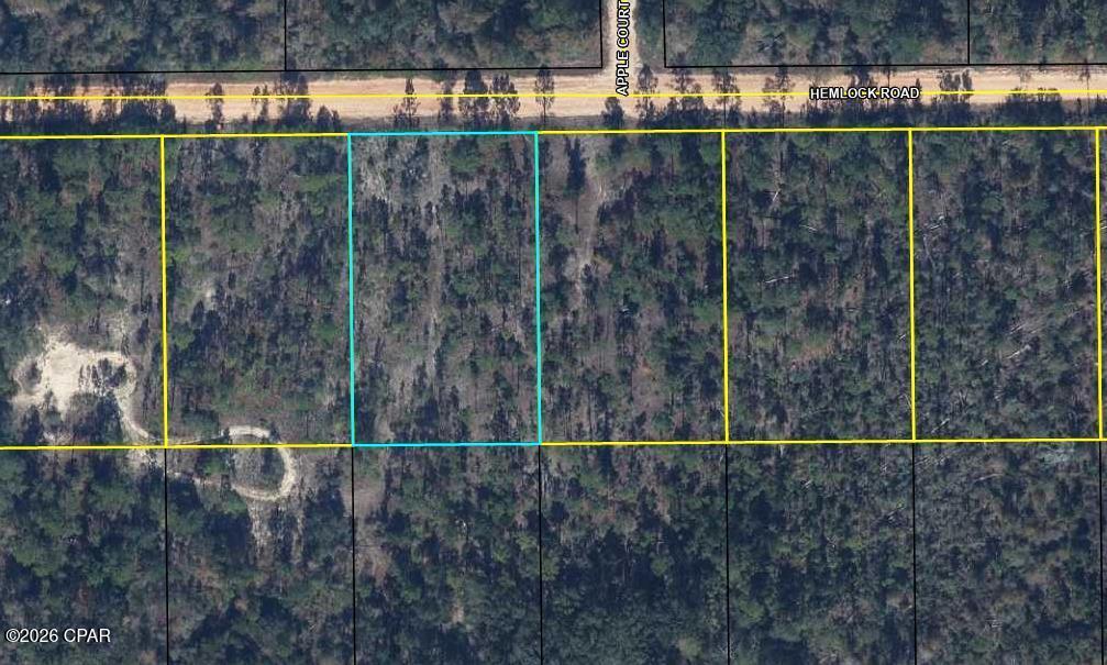 0 Hemlock Road Marianna, FL 32448 - Photo 1 of 2