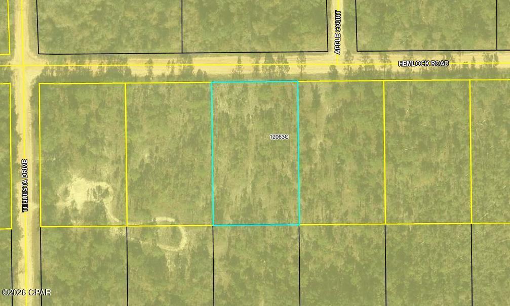 0 Hemlock Road Marianna, FL 32448 - Photo 2 of 2