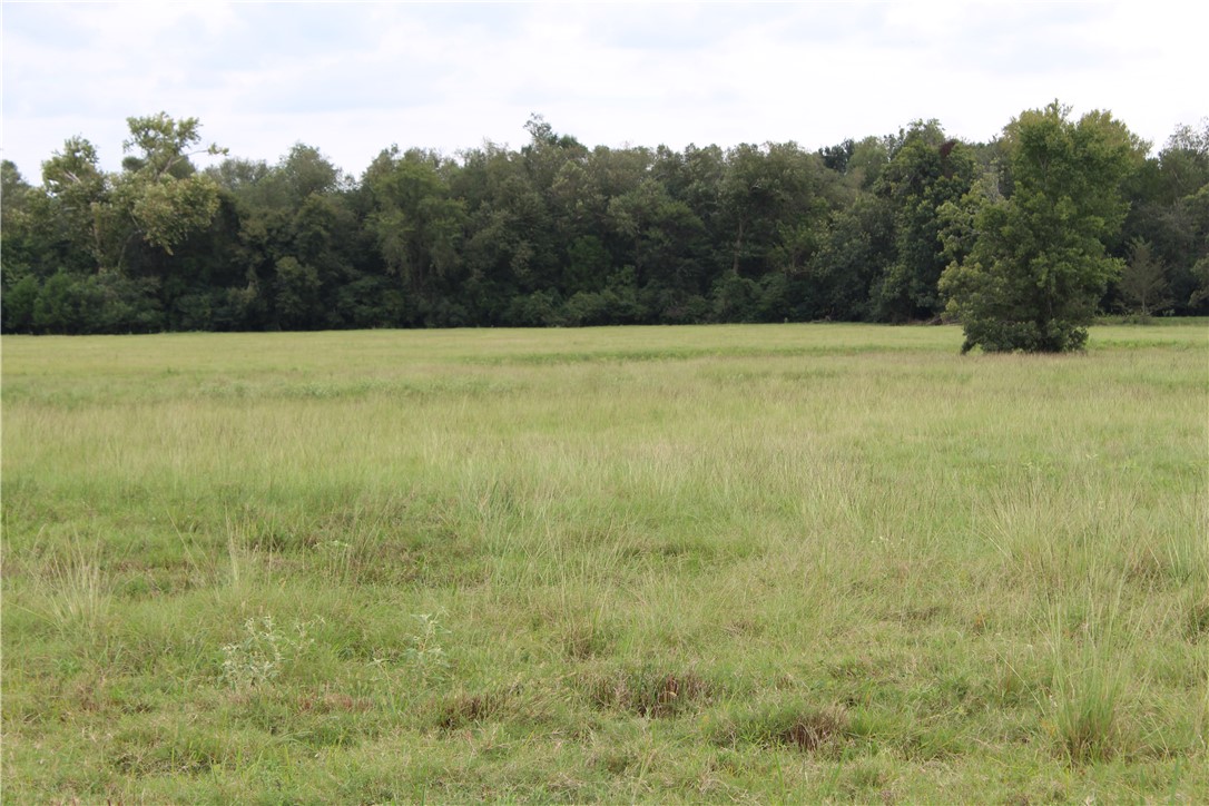 16601 County Road 467 Marquez, TX 77865 - Photo 11 of 38 a view of a field with trees in the background