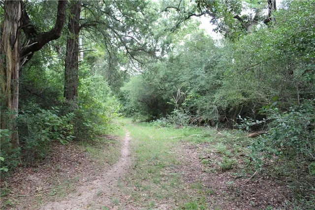a view of a lake and mountain in the back