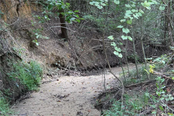 a view of green field