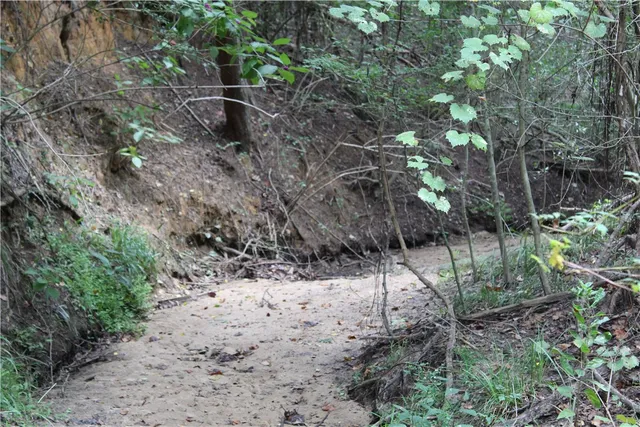 a view of green field