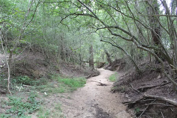 a palm tree sitting in the middle of a field