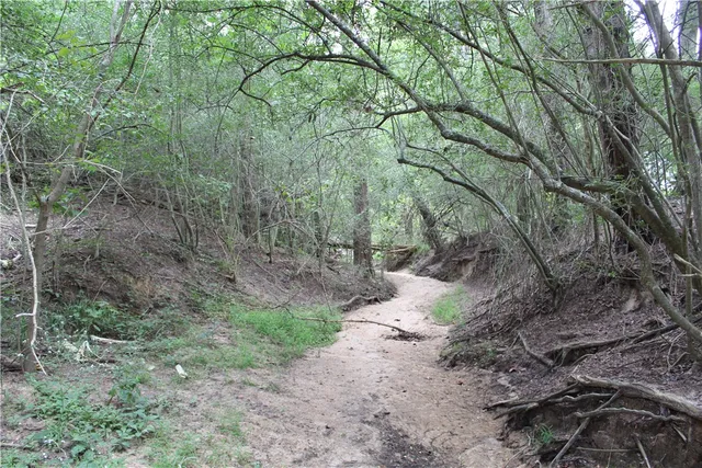 a palm tree sitting in the middle of a field