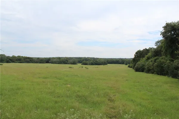 a view of a field with trees in the background