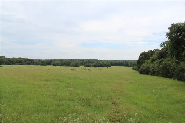 a view of a field with trees in the background