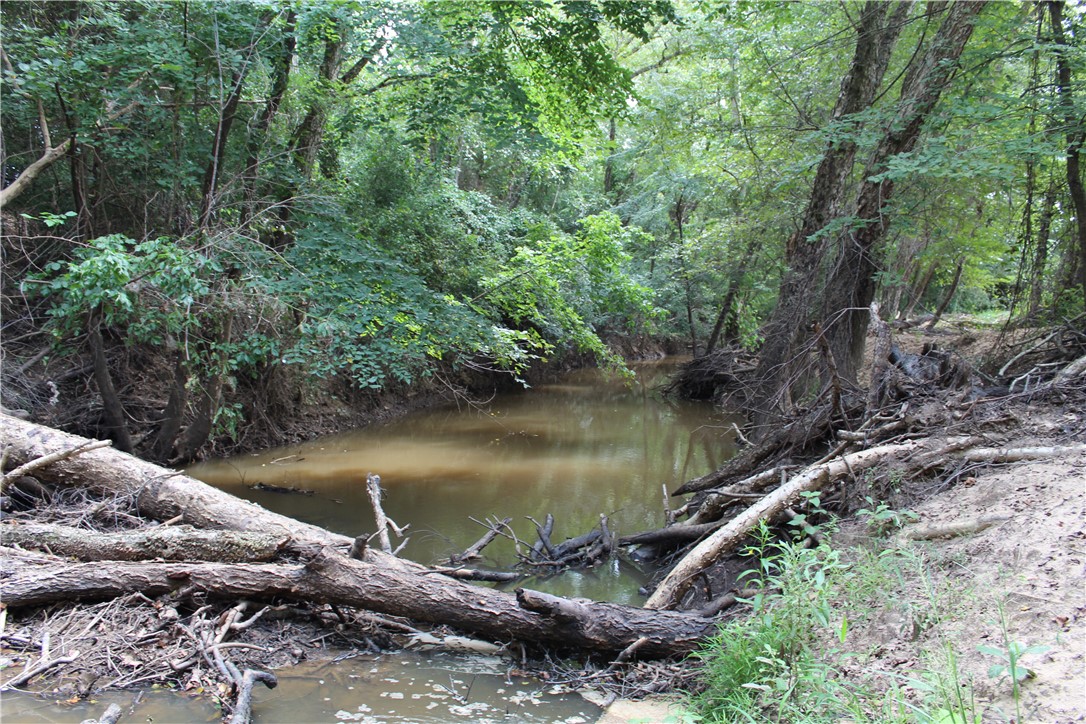 16601 County Road 467 Marquez, TX 77865 - Photo 18 of 38 a view of a wooden floor and a lake
