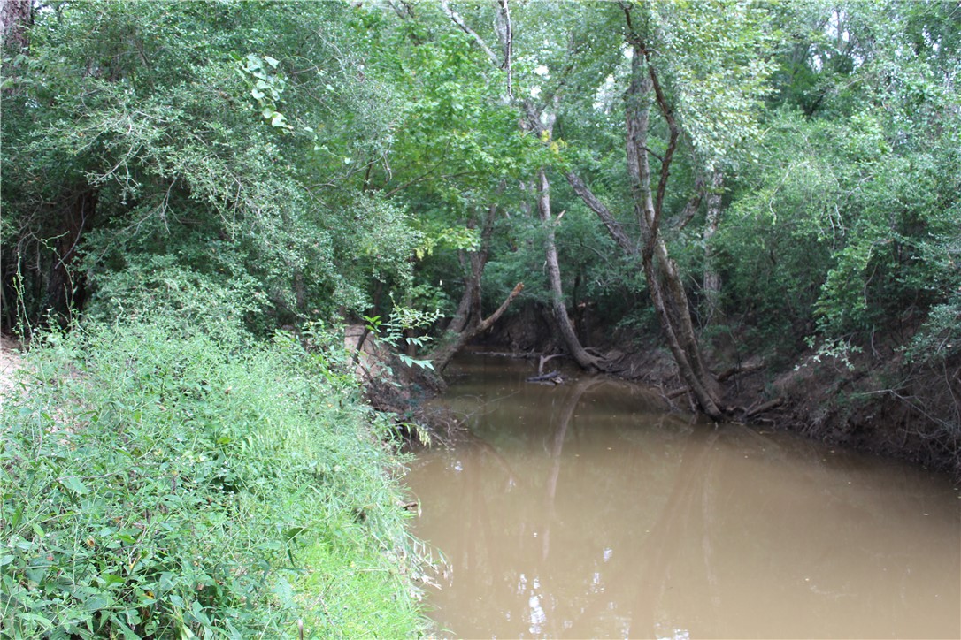 16601 County Road 467 Marquez, TX 77865 - Photo 19 of 38 a view of outdoor space and yard