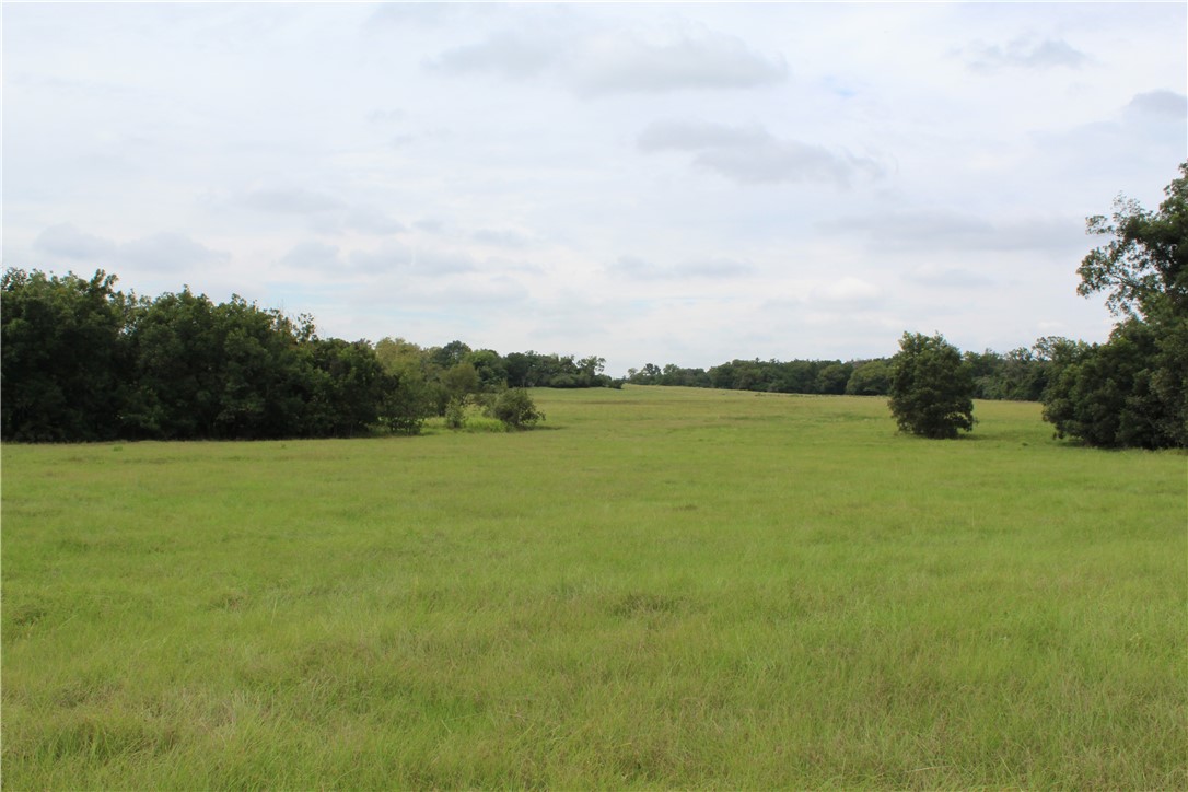 16601 County Road 467 Marquez, TX 77865 - Photo 20 of 38 a view of a lake with houses in the back