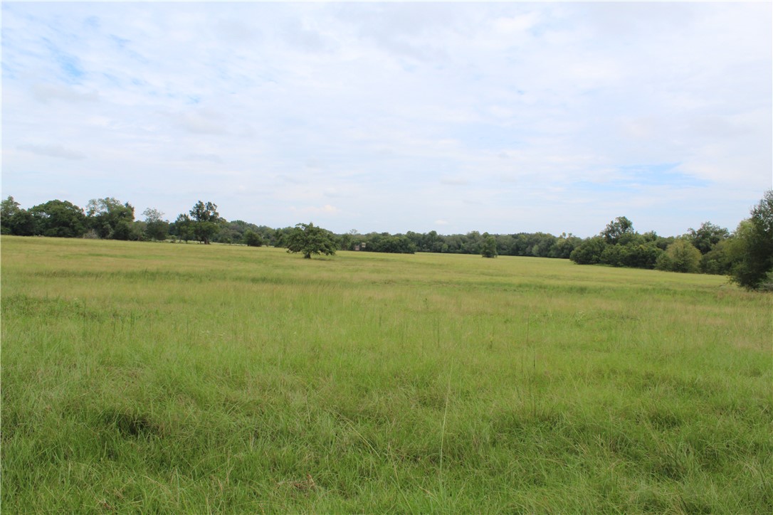 16601 County Road 467 Marquez, TX 77865 - Photo 23 of 38 a view of a lake and mountain in the back