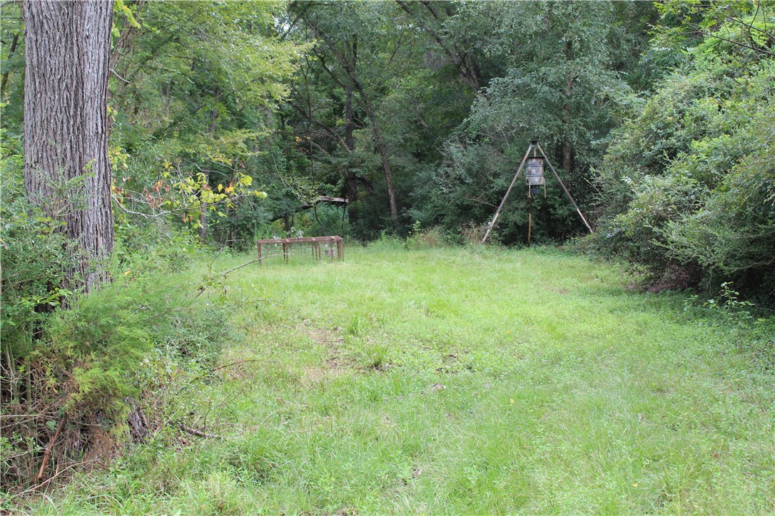 16601 County Road 467 Marquez, TX 77865 - Photo 24 of 38 View of yard